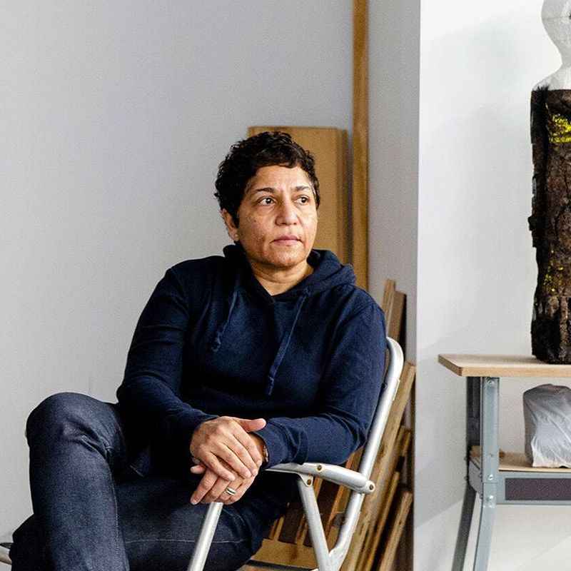 Huma Bhabha, , 1962, Contemporary Artist