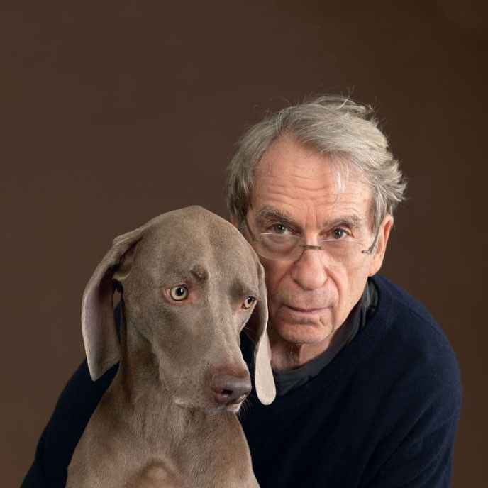 Wiliam Wegman, American, 1943, Contemporary Artist