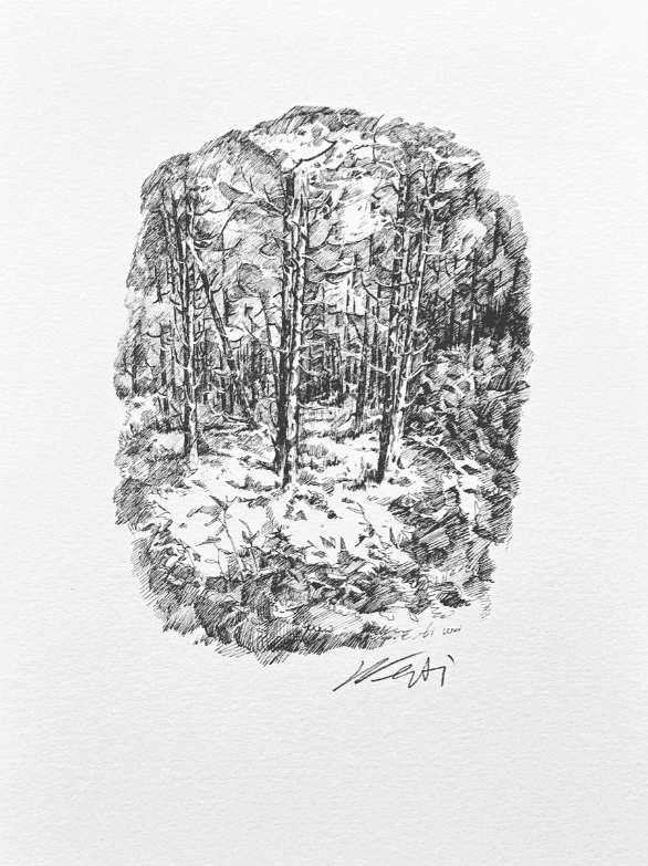 Ai Weiwei, ‘Forest’, 1977, Print, Offset lithograph print, null, Numbered