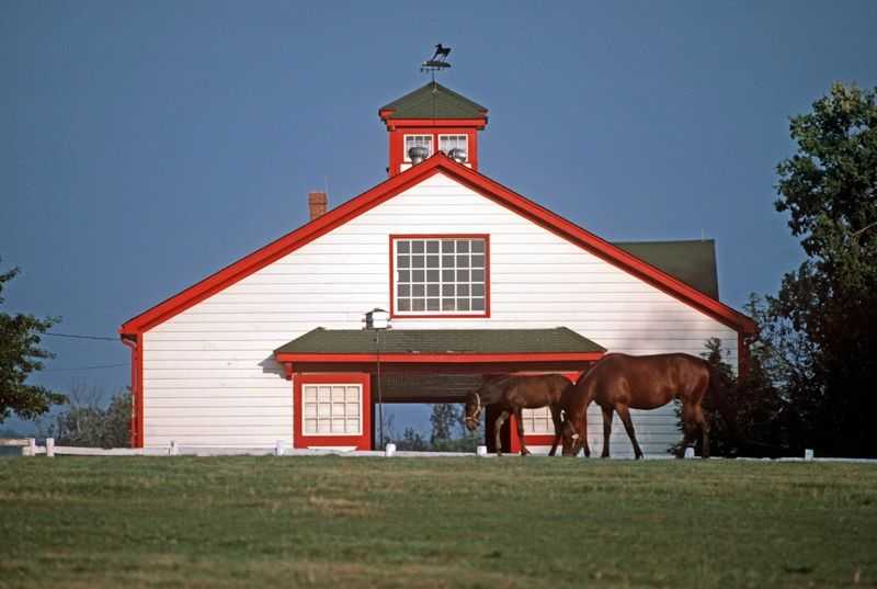 Alain Le Garsmeur, ‘Thoroughbred Stables’, 1984, Print, Archival Pigment Print, null, 