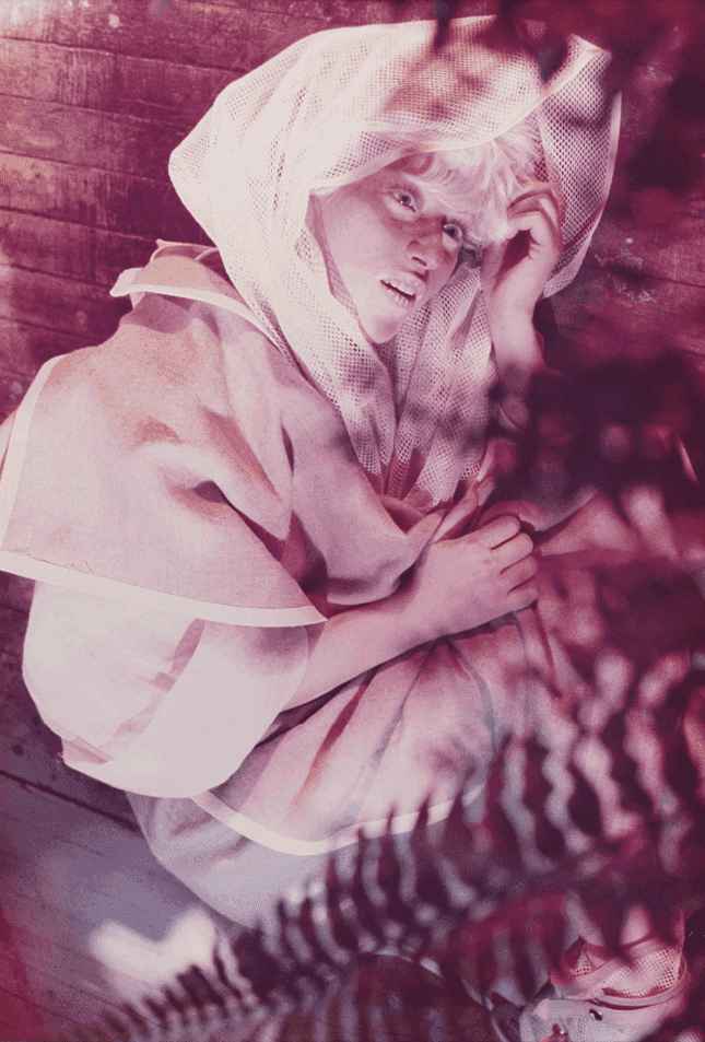 Cindy Sherman, ‘#130A’, 1983, Print, C-print, null, 