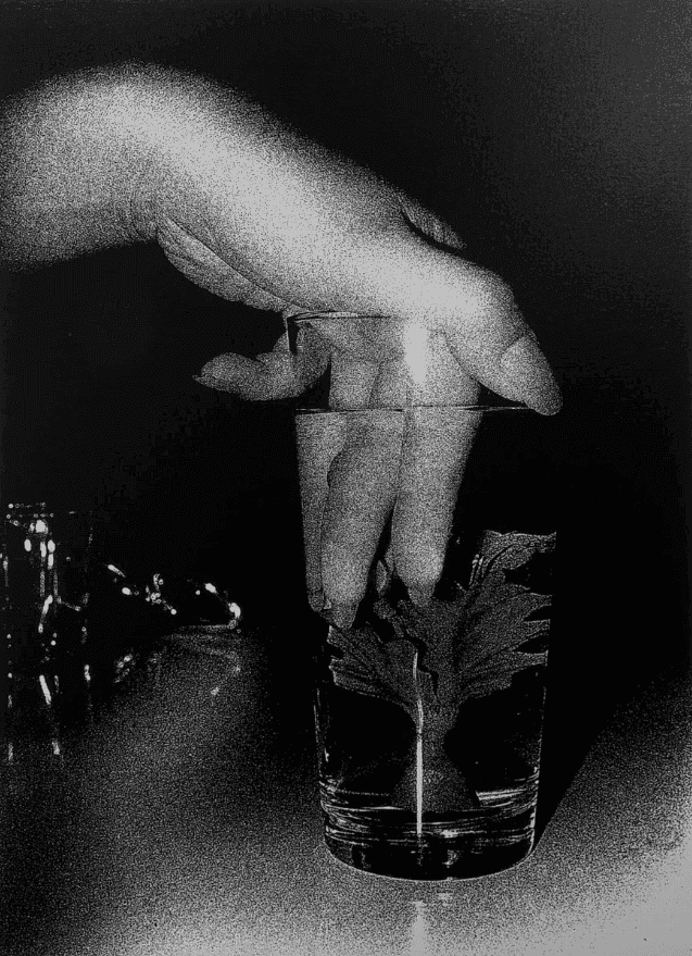 Daido Moriyama, ‘Artificial Underwater Flower’, 2012, Print, Screenprint on Canvas, null, Numbered