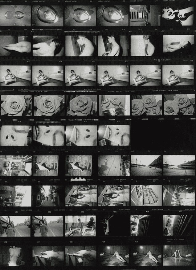 Daido Moriyama, ‘Labyrinth’, 2012, Print, Gelatin silver print, null, 