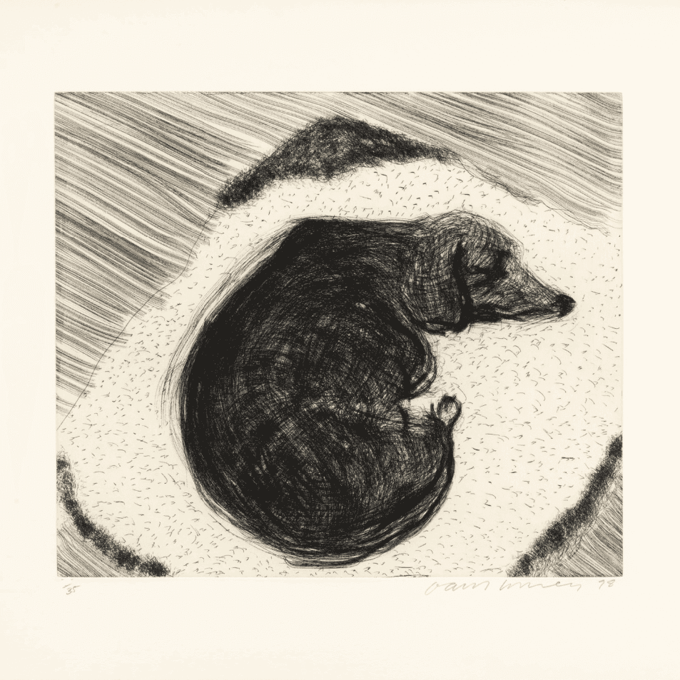 David Hockney, ‘Dog Etching No. 13’, 1998, Print, Hand-etched image, null, Numbered