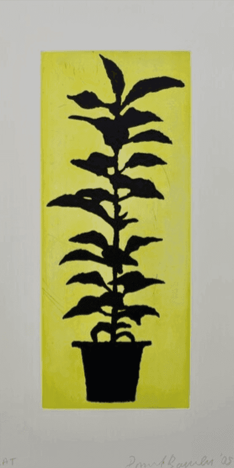 Donald Baechler, ‘Potted Plant’, 2005, Print, Etching on paper, Baron Boisante Editions, Numbered, Dated