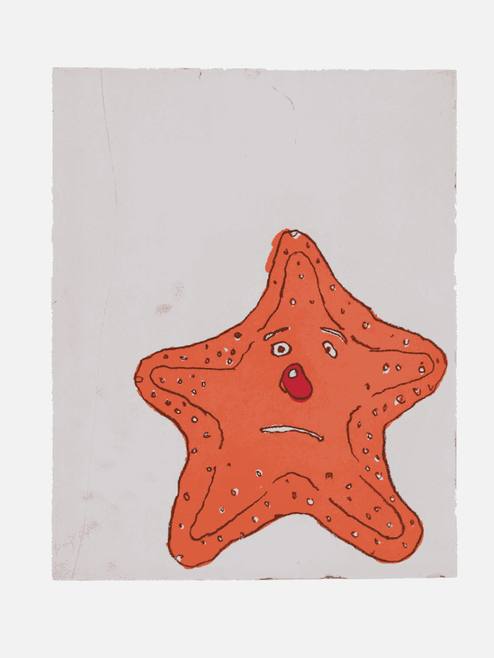 Donald Baechler, ‘Starfish, 1999’, 1999, Print, Soft-ground etching and aquatint on Magnani Pescia paper, null, Numbered, Dated