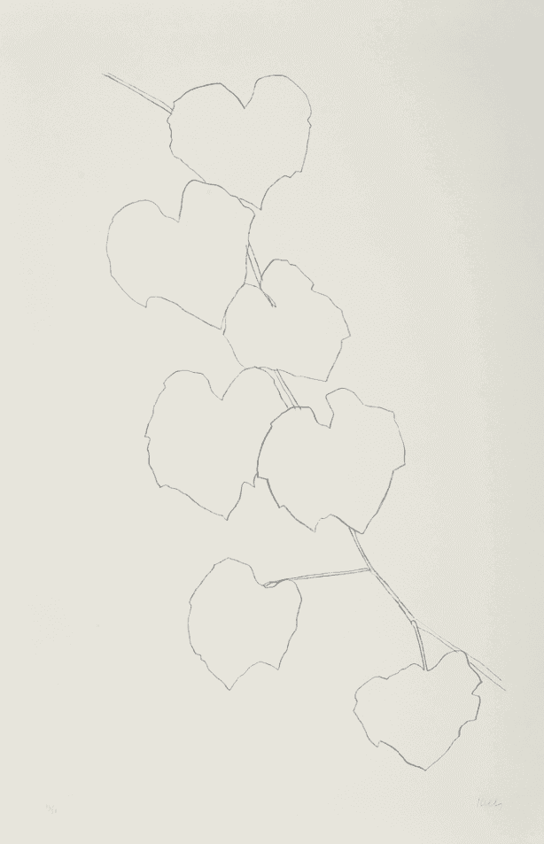 Ellsworth Kelly, ‘Grape Leaves II’, 1974, Print, Lithograph on Arches paper, Gemini G.E.L., Numbered