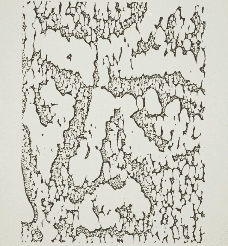 Ellsworth Kelly, ‘Jack I’, 1990, Print, 1 color lithograph, Gemini G.E.L., 