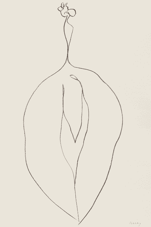 Ellsworth Kelly, ‘Seaweed ’, 1966, Print, Lithograph on Rives BFK white paper, null, Numbered