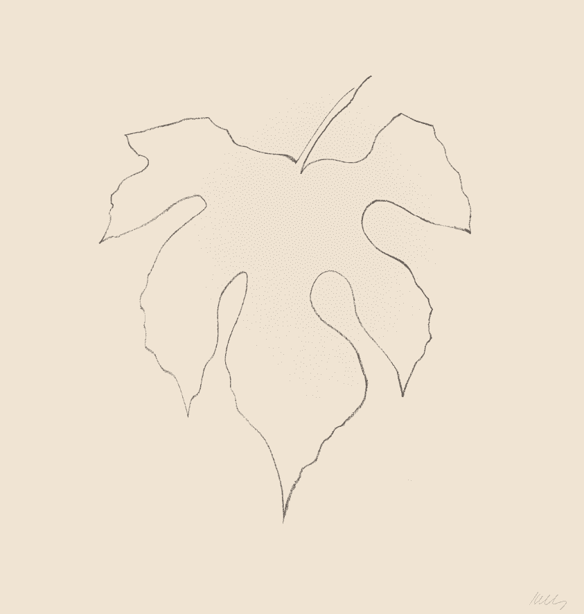 Ellsworth Kelly, ‘Wild Grape Leaf’, 1980, Print, Lithograph, Tyler Graphics Ltd., Numbered