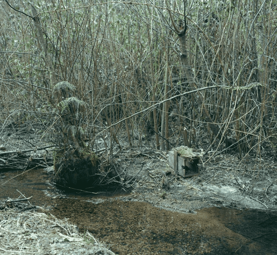 Jeff Wall, ‘Trap Set’, 2021, Print, Inkjet print, null,