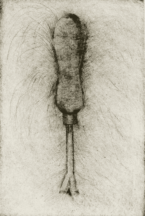 Jim Dine, ‘Weed-puller’, 1972, Print, Drypoint print on white Crisbrook Waterleaf paper, Petersburg Press, Numbered