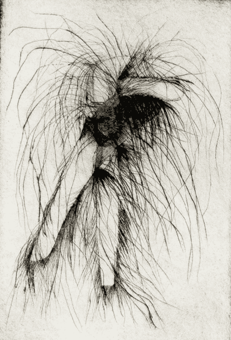 Jim Dine, ‘Wrench’, 1972, Print, Drypoint print on white Crisbrook Waterleaf paper, Petersburg Press, Numbered