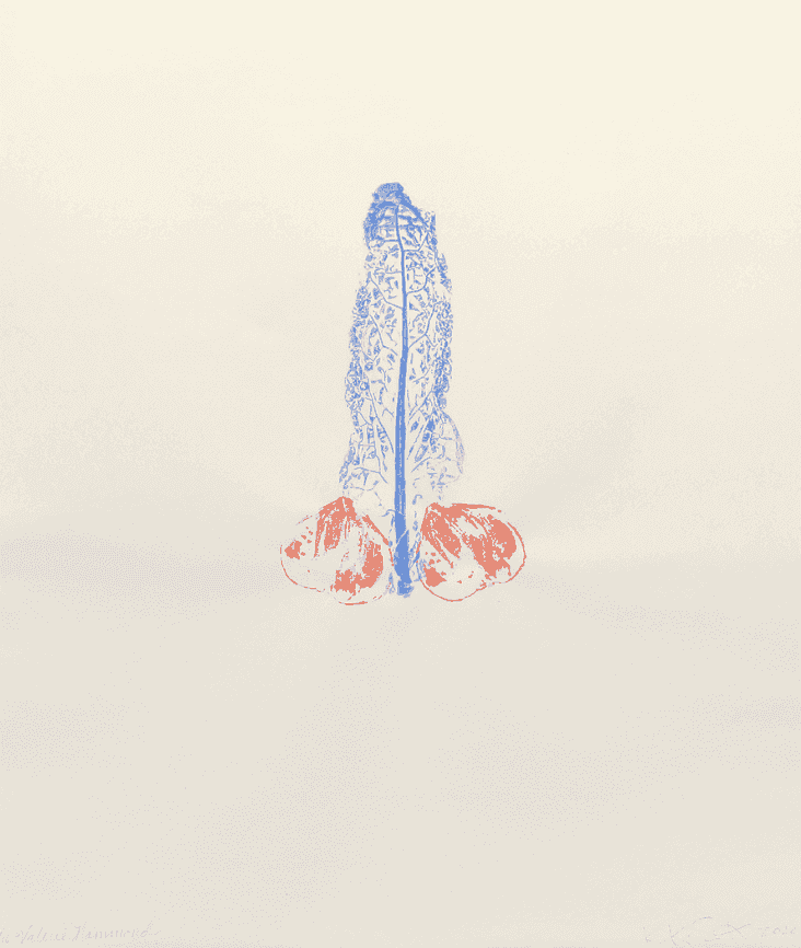 Kiki Smith, ‘August’, 2020, Print, Monoprint with watercolor printed vegetables on Kitikata paper, null, Numbered, Dated