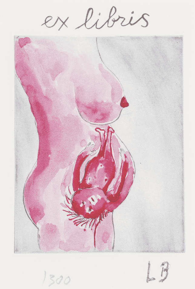 Louise Bourgeois, ‘Reticent Child’, 2005, Print, Lithograph with embossing in colours, on wove, Salon Verlag, Numbered
