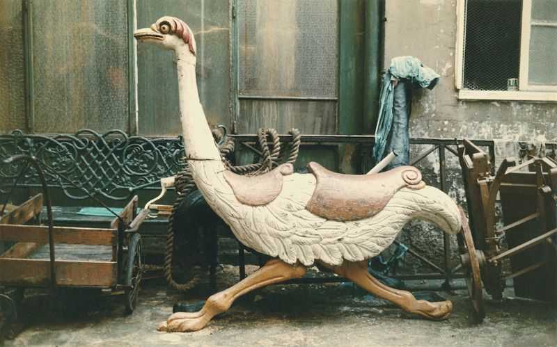 Peter Cornelius, ‘Paris Ostrich’, 2023, Print, Archival Pigment Print, null, 