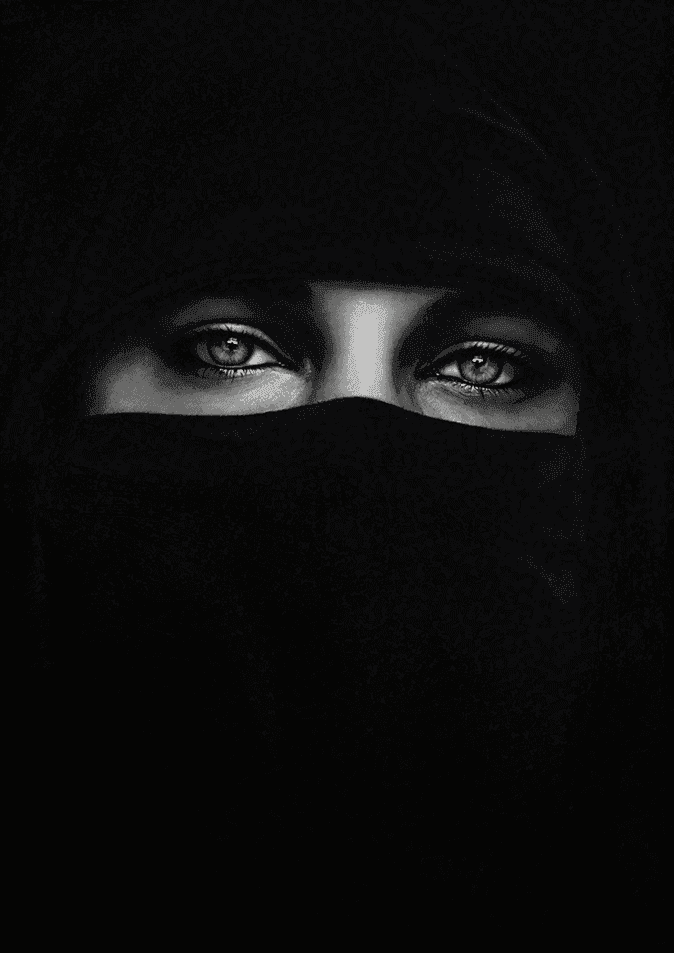 Robert Longo, ‘Burka - Burqa’, 2013, Print, Archival pigment print, Adamson Editions, Numbered, Dated