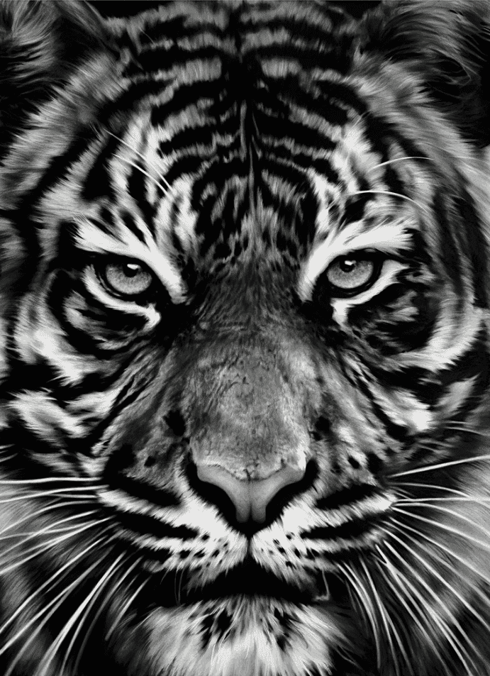 Robert Longo, ‘Leo’, 2013, Print, Pigment Print, null, Numbered
