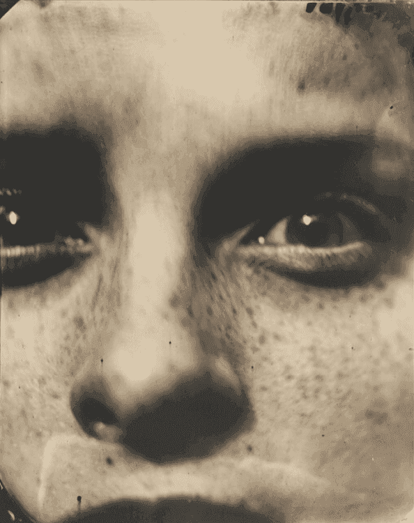 Sally Mann, ‘Virginia #38’, 2004, Print, Gelatin silver enlargement print with varnish, null,