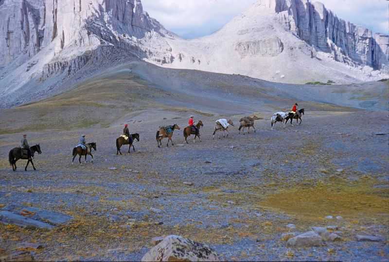 Toni Frissell, ‘A Pack Trip In Wyoming’, 2020, Print, Fine Art Archival Photographic Prints, null, 