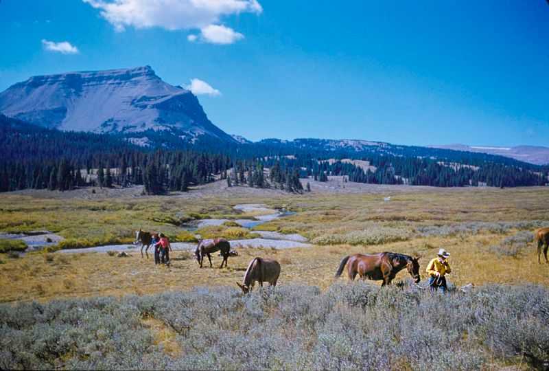 Toni Frissell, ‘A Pack Trip In Wyoming II’, 2020, Print, Fine Art Archival Photographic Prints, null, 