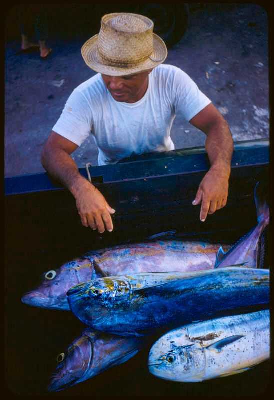 Toni Frissell, ‘Hawaiian Scenes II’, 2020, Print, Fine Art Archival Photographic Prints, null, 