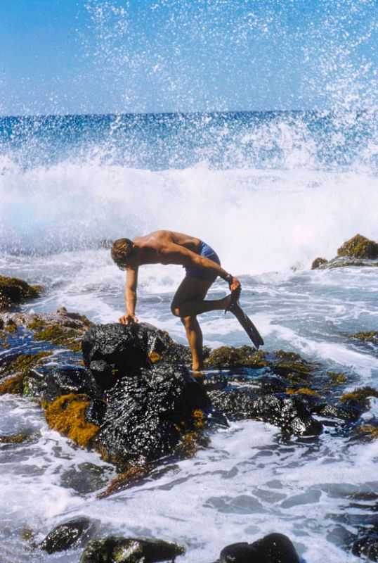 Toni Frissell, ‘Hawaiian Scenes VI’, 2020, Print, Fine Art Archival Photographic Prints, null, 