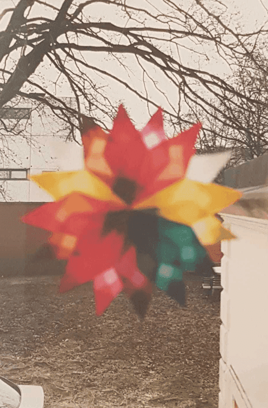 Wolfgang Tillmans, ‘Weihnachtsstern’, 2000, Print, C-Print, null, 