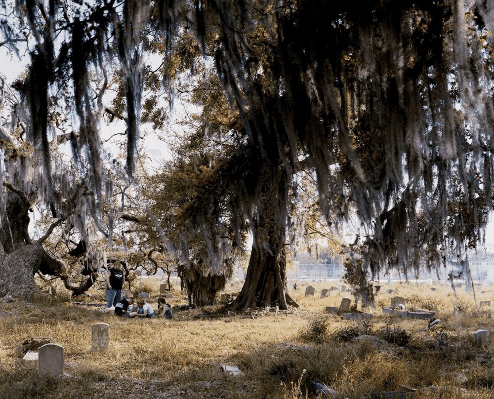 Alec Soth, ‘Holt Cemetery, New Orleans, LA’, 2002, Print, Digital chromogenic print, null, 