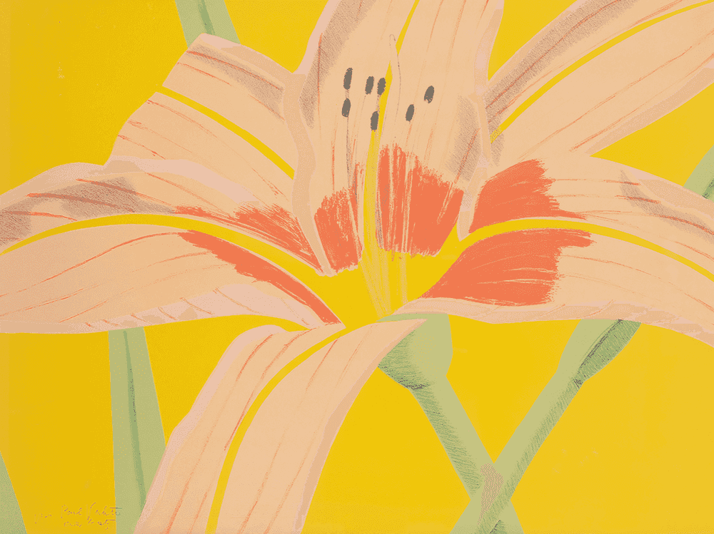 Alex Katz, ‘Day Lily II’, 1969, Print, Lithograph in colors, on Arches paper, null, Numbered