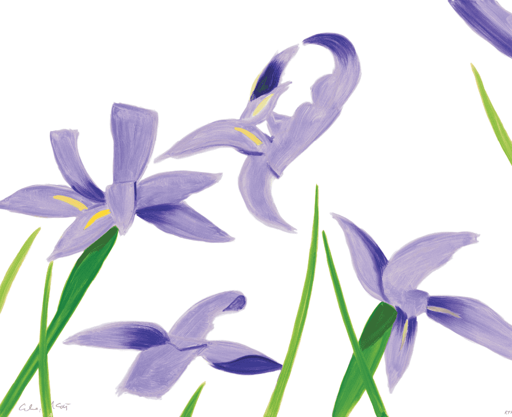 Alex Katz, ‘Purple Irises on White’, 2023, Print, Archival pigment ink print, on Innova Etching Cotton Rag 315 gsm, null, Numbered