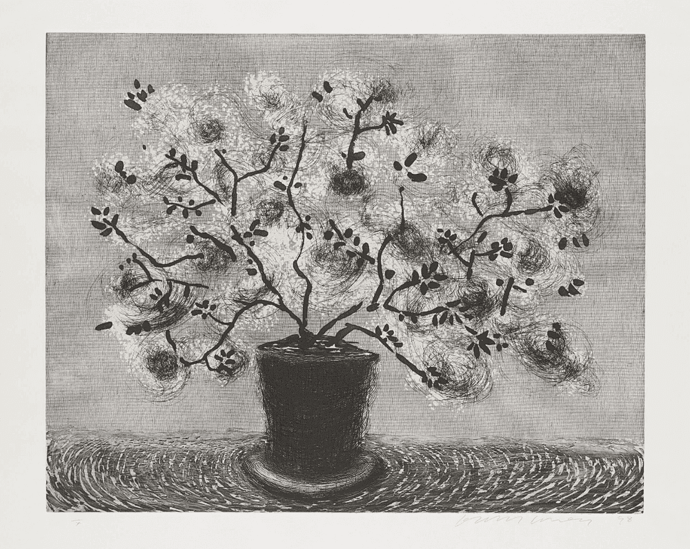 David Hockney, ‘Black Wire Plant’, 1998, Print, Copperplate etching, null, Numbered