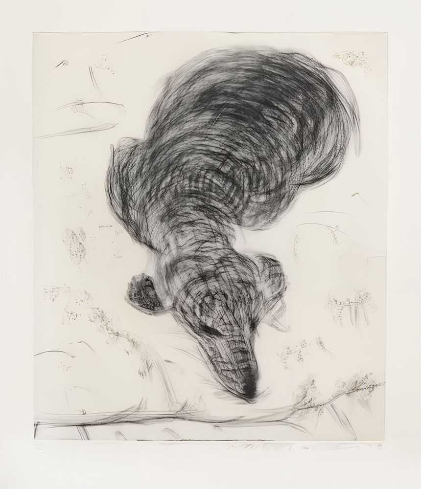 David Hockney, ‘Dog Etching No. 7’, 1998, Print, Hand-etched image, null, Numbered