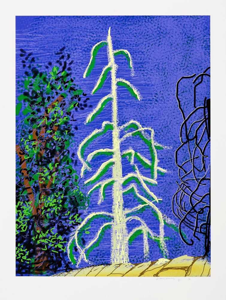 David Hockney, ‘The Yosemite Suite 14’, 2010, Print, Digital reproduction, null, Numbered