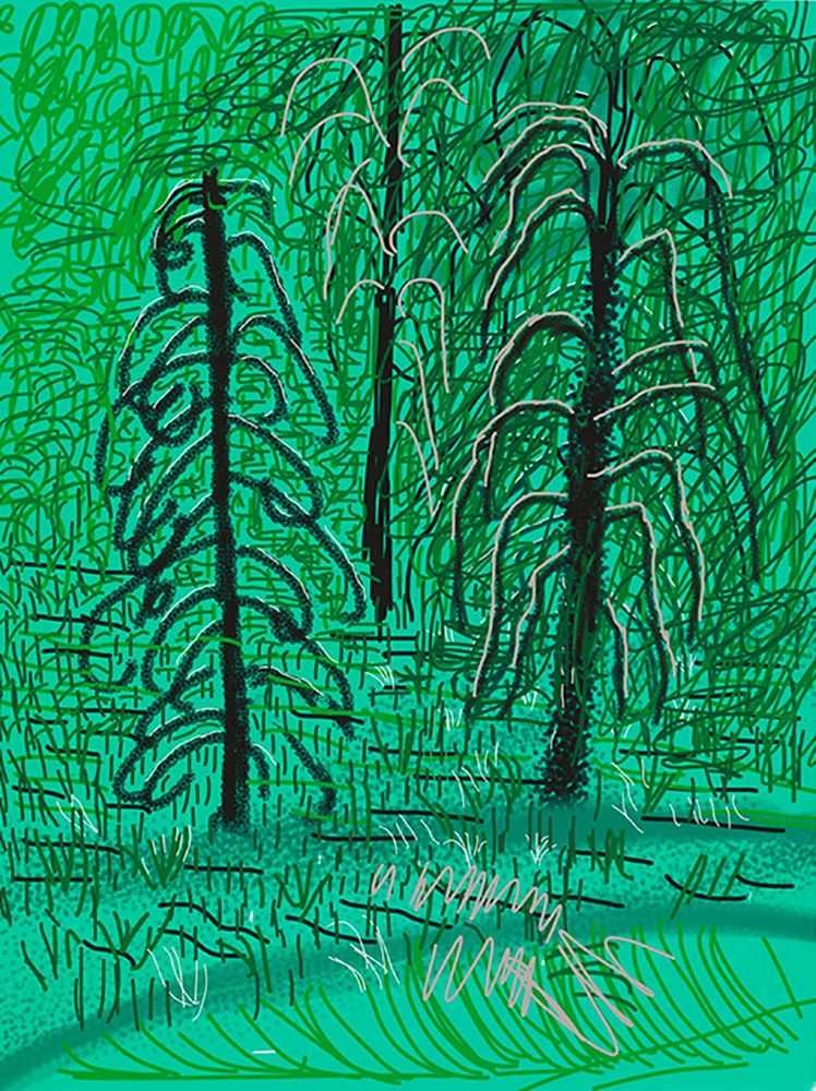 David Hockney, ‘The Yosemite Suite 16’, 2010, Print, Digital edition, null, Numbered
