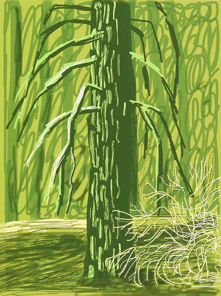 David Hockney, ‘The Yosemite Suite 18’, 2010, Print, Archival digital work, null, Numbered