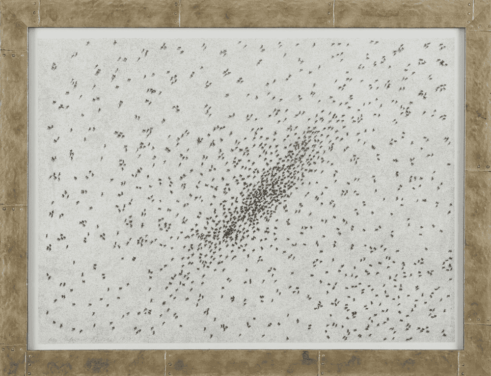 Ed Ruscha, ‘Insect Slant’, 1973, Print, Lithograph, null, Numbered, Dated