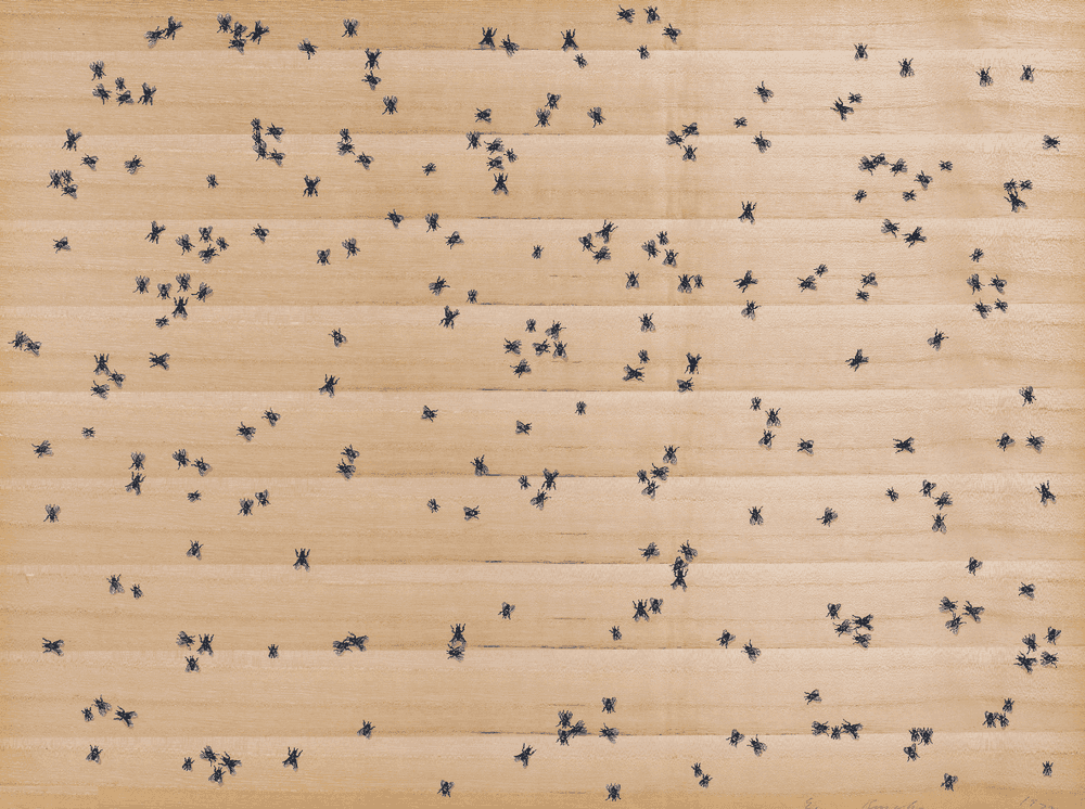 Ed Ruscha, ‘Insects (Flies)’, 1972, Print, Screenprint on paper-backed wood veneer, from the portfolio 'Insects', null, Numbered, Dated