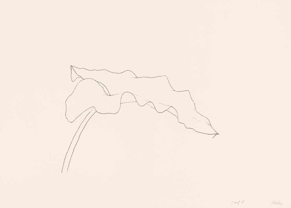 Ellsworth Kelly, ‘Leaf II’, 1978, Print, Lithograph, Gemini G.E.L., Numbered