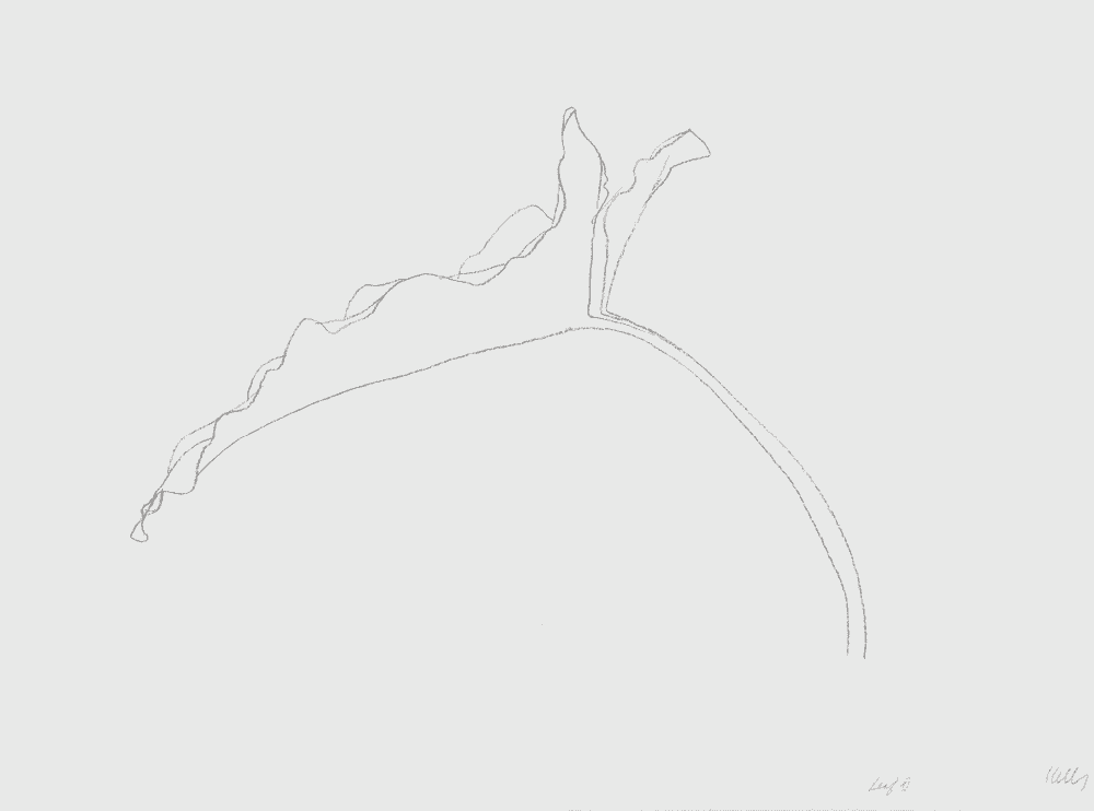 Ellsworth Kelly, ‘Leaf XI’, 1978, Print, Lithograph, Gemini G.E.L., Numbered