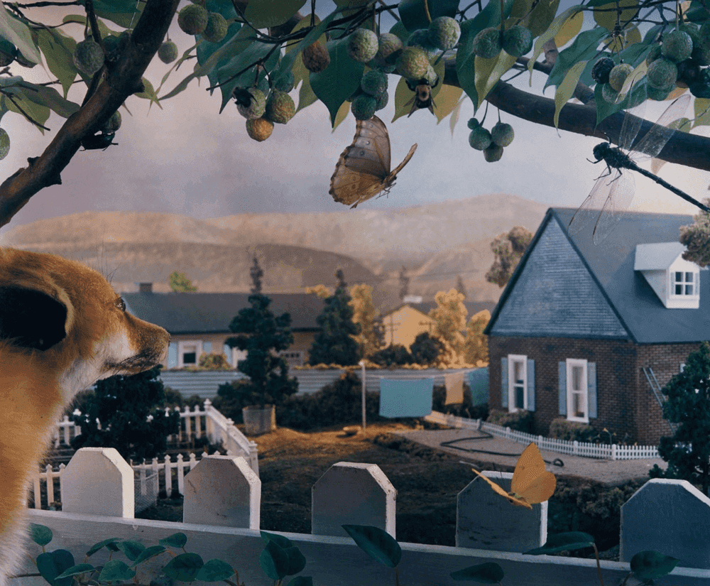 Gregory Crewdson, ‘Natural Wonder’, 1991, Print, Chromogenic print, null, Numbered, Dated