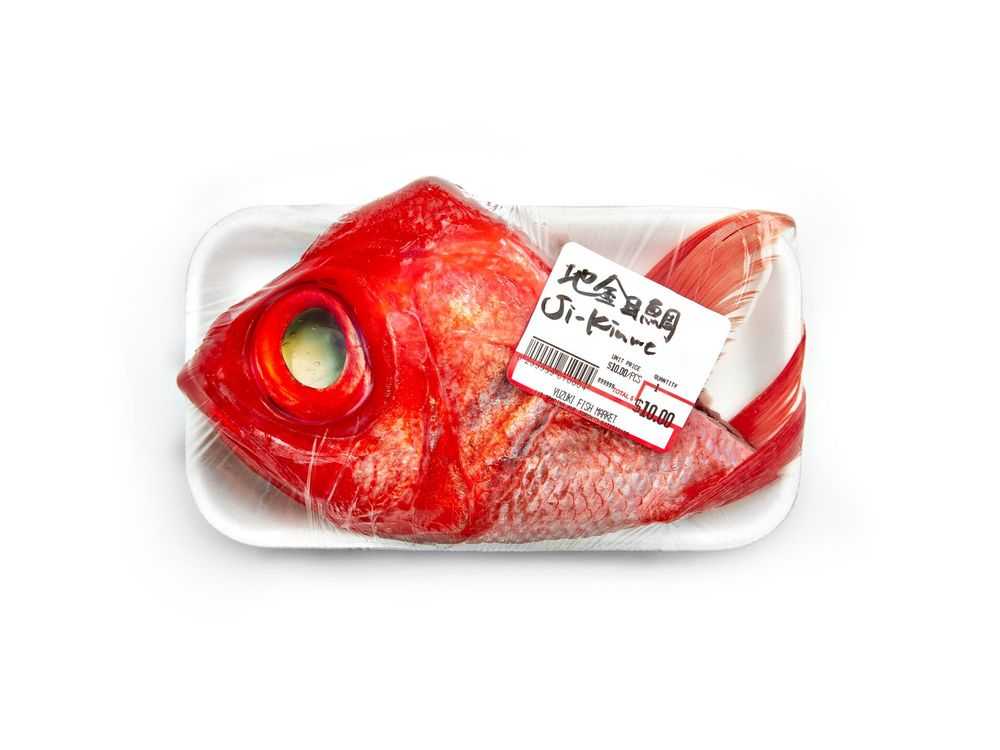 Peter Andrew Lusztyk, ‘Still Life- Fish (Small)’, 2023, Print, Digital C-Print / Archival Pigment Print, null, 