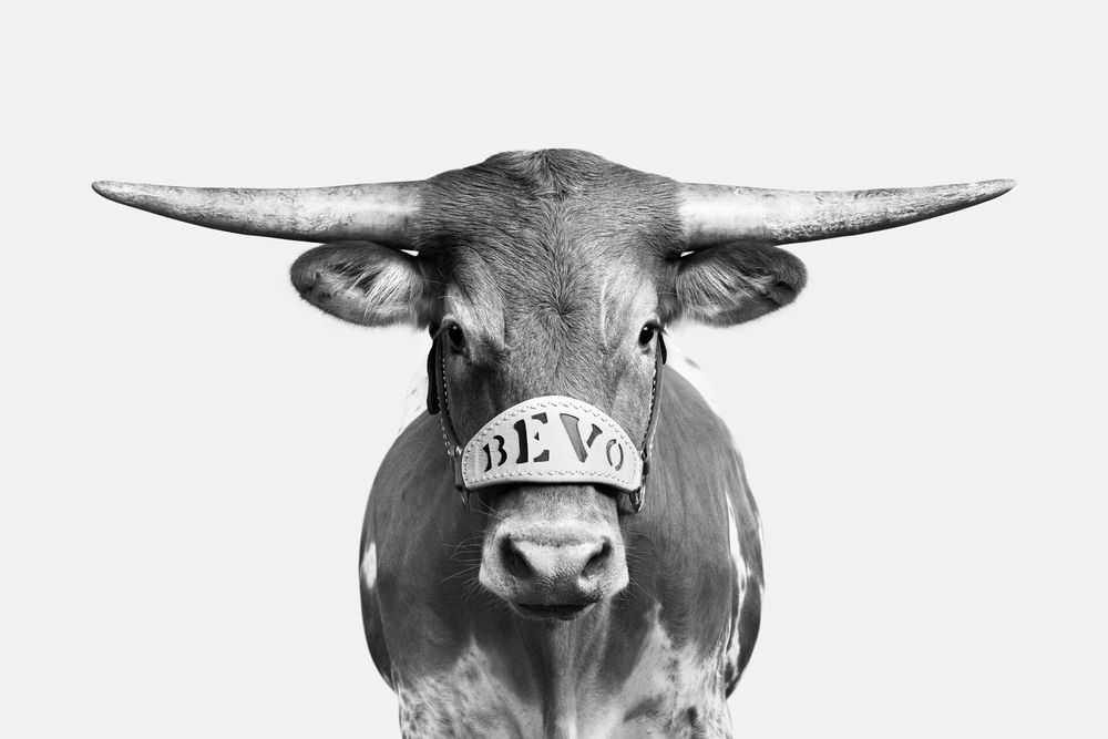 Randal Ford, ‘Bevo XV (BW) (Small)’, 2018, Print, Digital C-Print on Archival Photographic Paper, null, 
