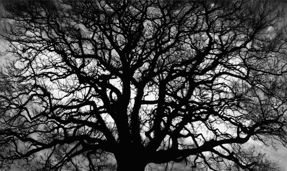 Robert Longo, ‘Paths of the Mind’, 2018, Print, Archival pigment print, null, Numbered