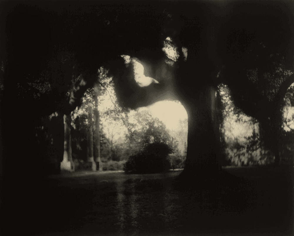 Sally Mann, ‘Deep South, Untitled (Scrim)’, 1998, Print, Gelatin silver enlargement print, toned with tea, null, 