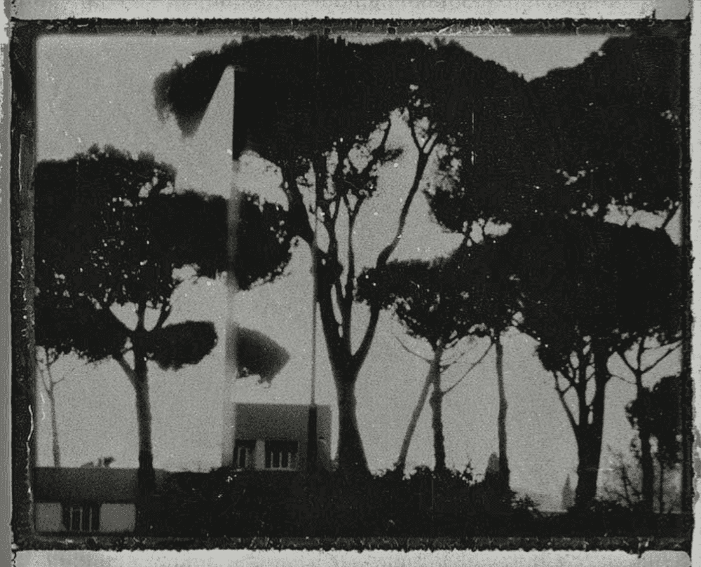 Sarah Moon, ‘Cinecitta’, 2020, Print, Gelatin silver print, null, Numbered, Dated