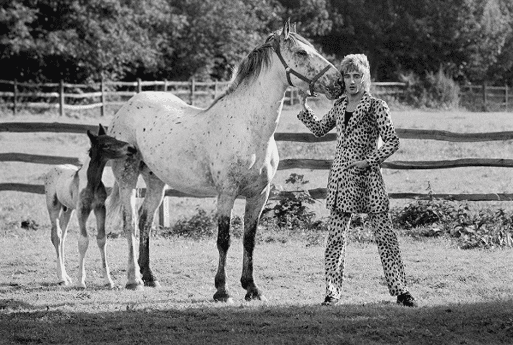 Terry O'Neill, ‘Rod Stewart, 1971’, 1971, Print, Silver Gelatin Print, null, Numbered