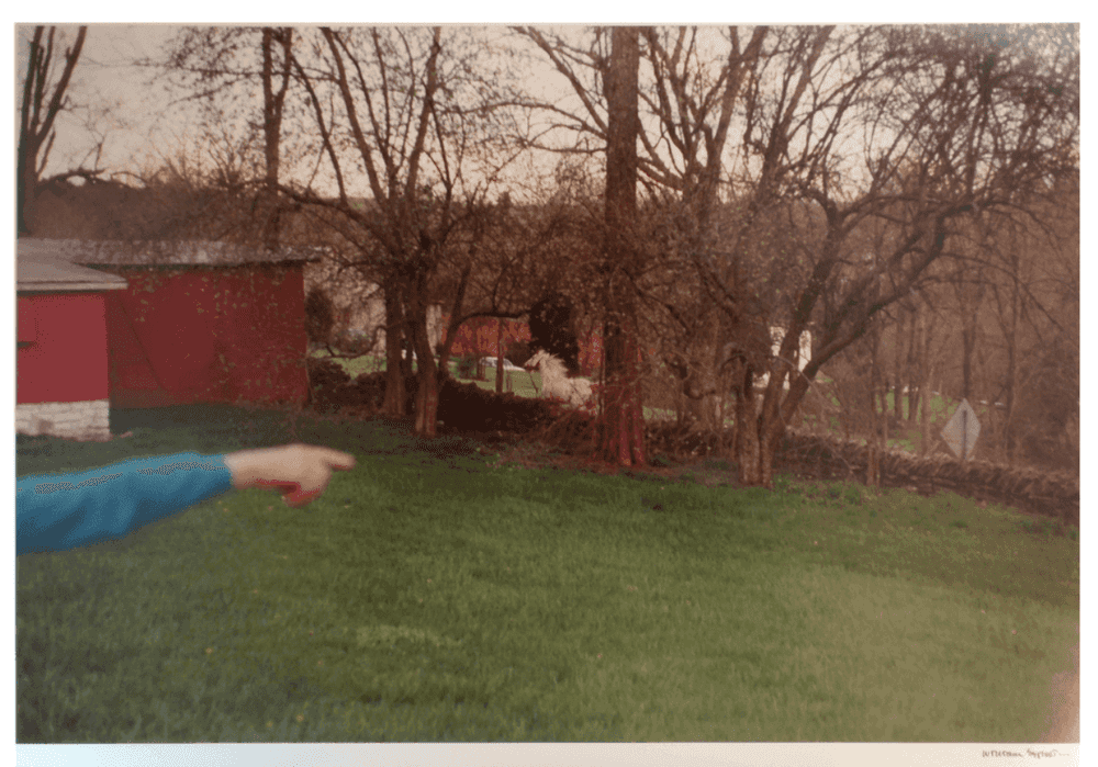 William Eggleston, ‘Kentucky’, 1983, Print, Fuji-color crystal archive print, null, Numbered