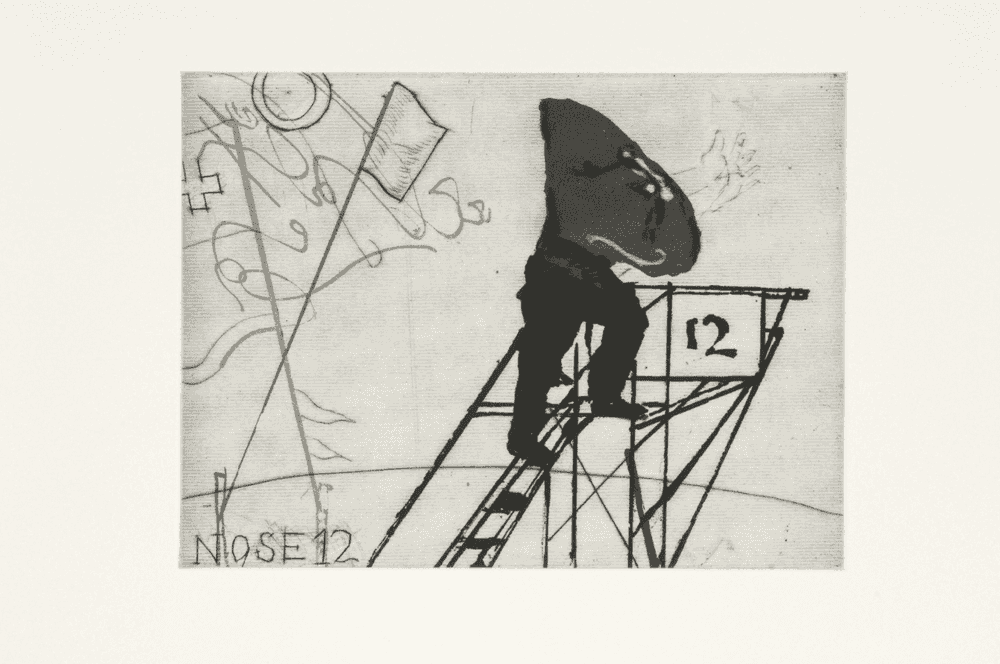 William Kentridge, ‘Nose 12’, 2008, Print, Sugarlift aquatint, drypoint and engraving, null, Numbered
