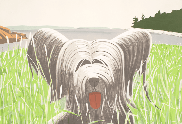 Dog at Duck Trap